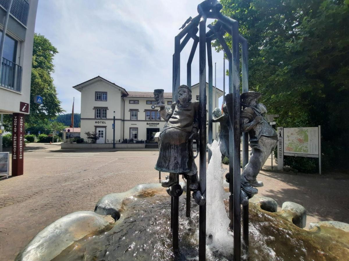 Ferienwohnung Altstadthaus Oberkirch  Esterno foto